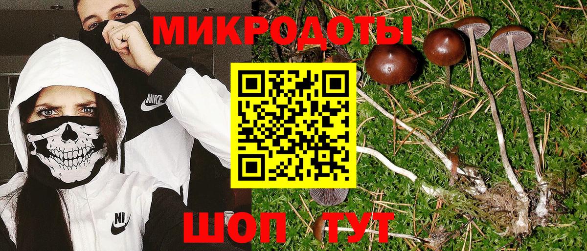 Луховицы  Псилоцибиновые грибы ЛСД  Вход с VPN 