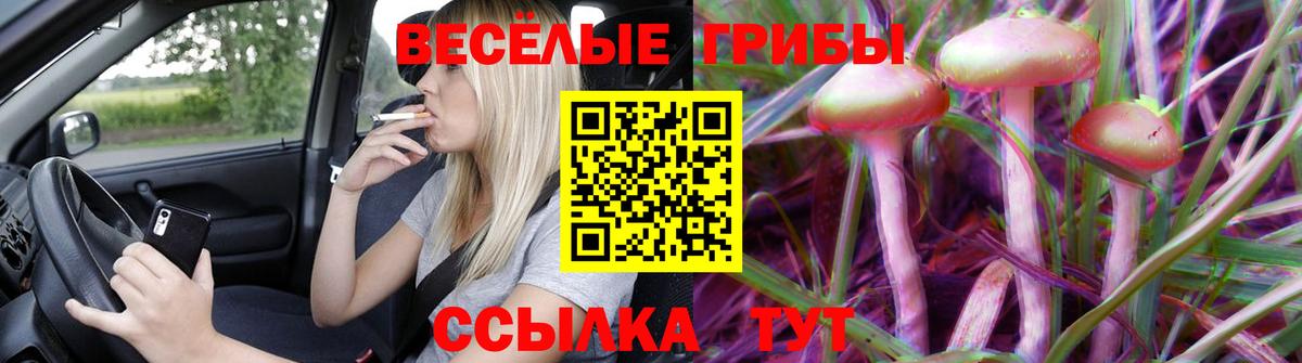 Галлюциногенные грибы Magic Shrooms Луховицы